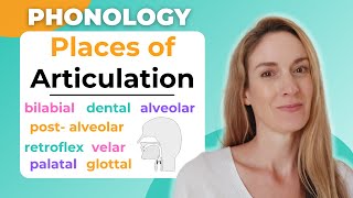 Place of Articulation  Consonant Sounds in English  Phonology [upl. by Yatnoed883]