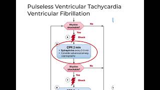 Cardiac arrest part 1 shockable  ACLS 2020 [upl. by Negrom779]