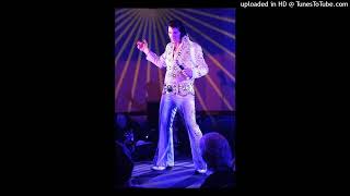 Pledging My Love  Elvis Tribute Artist Tony Witt [upl. by Salohcin943]