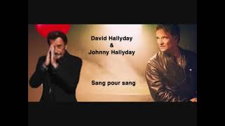 KARAOKE DAVID HALLYDAY amp JOHNNY HALLYDAY  Sang pour sang Armando [upl. by Eserrehs]