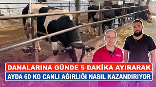 Danalarına Günde 5 Dakika Ayırarak  Ayda 60 Kg Canlı Ağırlığı Nasıl Kazandırıyor [upl. by Gnart]