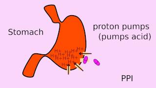 How does Nexium PPIs work [upl. by Kirrad402]