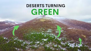 Scotlands Deserts are Turning Green  heres why [upl. by Laraine]