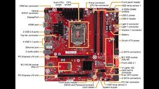 Motherboard Explained in Detail [upl. by Dleifxam245]