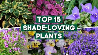 15 ShadeLoving Plants That Are Perfect For Your Garden 👌🌿💚  PlantDo Home amp Garden [upl. by Mella]