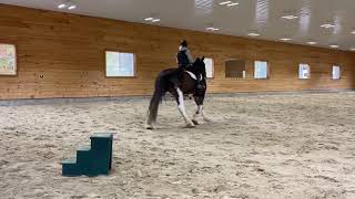 Clydesdale Dressage  Crusader [upl. by Canty]