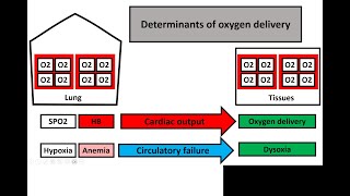 Evaluation of tissue perfusion [upl. by Tommie475]