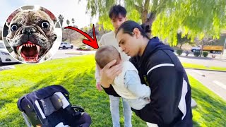 Lucas and Marcus  Our Pet Dog Attached My Elder Brother Baby Cyrus Dobre Son [upl. by Nehtiek]