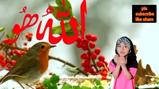 Allah Hoo Allah Hoo Poim Hindi poems EK Chidiya Boli Chu Chu you Sadia [upl. by Noach]