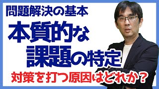 【15日で問題解決09】本質的な課題の特定 対策を打つ原因はどれか 問題解決の基本 069 [upl. by Lapides]