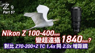 Nikon Z 100400mm f4556 VR S 變1840mm超遠攝 雀鳥攝影實測 Z70200  Z TC 14x and 20x [upl. by Onailimixam]