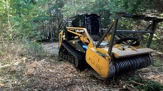 First Forestry Mulching Job for the new ASV rt135 skidsteer [upl. by Asilehs745]