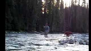 Fly Fishing on the Lochsa River [upl. by Candida]