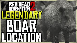 WHERE TO FIND THE LEGENDARY BOAR LOCATION  HUNT  RED DEAD REDEMPTION 2 [upl. by Ahsiyn]