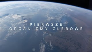 Różnorodność biologiczna Pierwsze organizmy glebowe [upl. by Delgado]