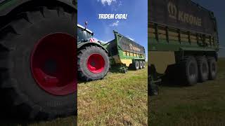 Tridem Oida ernte fendt krone landwirtschaft [upl. by Ehc]