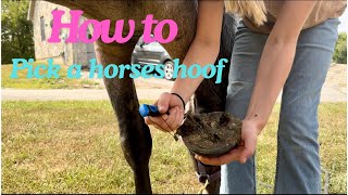 How to safely pick a horses hoof [upl. by Winnie]