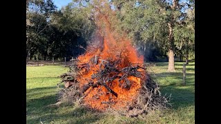 Relaxing warm scenic outdoor bonfire in horse pasture [upl. by Devaney215]