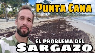 THE TRUE SITUATIO OF SARGASSUM O THE BEACHES OF PUNTA CANA [upl. by Nosnibor]