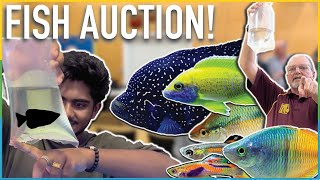 I visited my first EVER Aquarium Auction and spent 200 Heres what I brought home [upl. by Eirased]