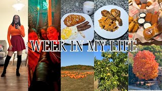 WEEKLY VLOG Cooking Terror Park Fall Activities amp More [upl. by Noe]