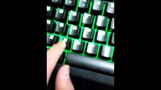 Trying out Razer Green switches at Best Buy [upl. by Kaspar343]