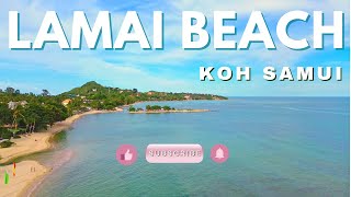 MUST VISIT PARADISE IN KOH SAMUI 2024  LAMAI BEACH  WHERE TO STAY IN KOH SAMUI  LAMAI FOOD MARKET [upl. by Lertnek]