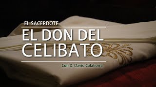 ES  D David Calahorra El don del celibato [upl. by Aerdnaeel955]