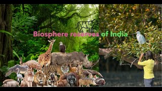 Biosphere reserves in india  18 biosphere reserves in india [upl. by Dreeda]