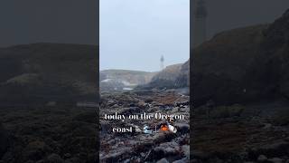 Yaquina Head Lighthouse in Newport  Depoe Bay📍Oregon oregon oregoncoast pnw oregonliving [upl. by Kavanagh668]