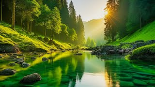 Beautiful Relaxing Music  Stop Overthinking Stress Relief Music Sleep Music Calming Music 14 [upl. by Ayet]