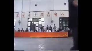 Demonstrations of my Polish Ving Tsun kuen school in Foshan Chingwoo [upl. by Kcirednek]