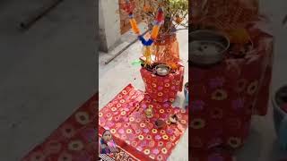 Mere Tulsi Ke gamle mein vah mein likha hai Shri Om likha hai kirtilals kirti [upl. by Nealson]