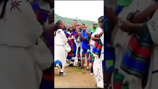 Traditional Awris dance  አውርስ [upl. by Ilera200]