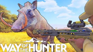 Warthog Crossbow Hunt  Way of the hunter [upl. by Aikin775]