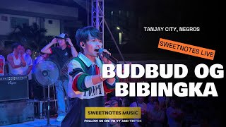 BUDBUD OG BIBINGKA  Max Surban  Sweetnotes Live  Tanjay City Negros [upl. by Aliac342]