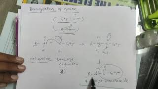 Benzoylation of Amine [upl. by Wolfe947]