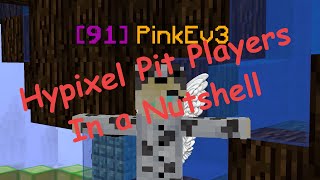 Hypixel Pit Players in a Nutshell [upl. by Kirch]