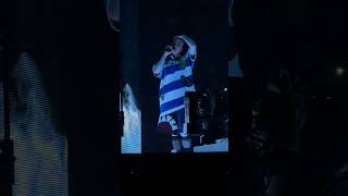 Billie Eilish lovely  ocean eyes  idwbya Hit Me Hard and Soft Tour Night 2 Xcel Energy Center [upl. by Mavra561]