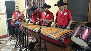 EL CAMALEON MIX MARIMBA SONORA QUETZAL [upl. by Tut]