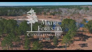 Muckalee Bluff Matre Forestry [upl. by Essie]