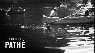 Championnats De Peche SousMarine AKA Underwater Fishing Championship In Italy 1962 [upl. by Nodyarb196]