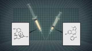 Untested lethal cocktail to be used in November execution [upl. by Anyg887]