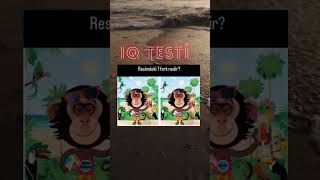 IQ TESTİ [upl. by Taryn]