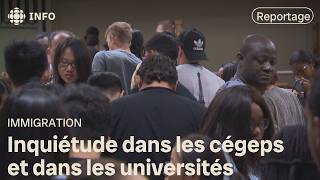 Étudiants étrangers  « 120 000 cest trop » dit François Legault [upl. by Magnusson]