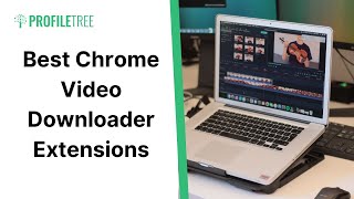 How to Download Any Video From Any Website On Chrome PC [upl. by Hallam]