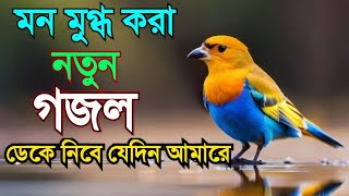 নতুনগজল2024 ডেকে নিবে যেদিন আমারে Deke Nibe Jedin Amare gajolনতুন গজলNatun Gajoldufmmadina [upl. by Htenek99]