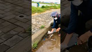 Simple Steps to Clear Debris from Blocked Culverts [upl. by Haakon]