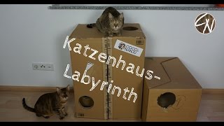 Katzenhaus aus Pappe basteln [upl. by Adnuhsat]