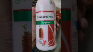 syngent Calaris Xtra best herbicide for maizytshorts [upl. by Aivatnuahs]